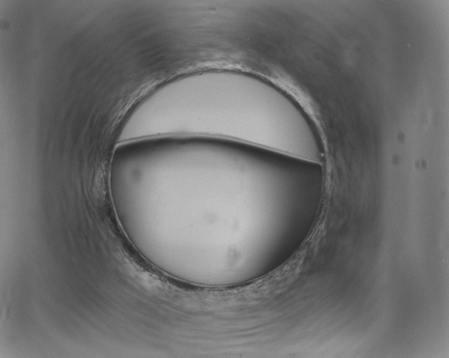 X0000063520009200601201445