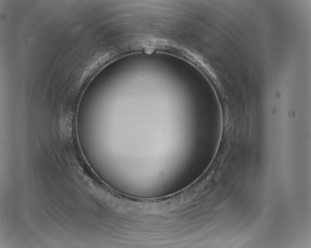 X0000063520010200601201445