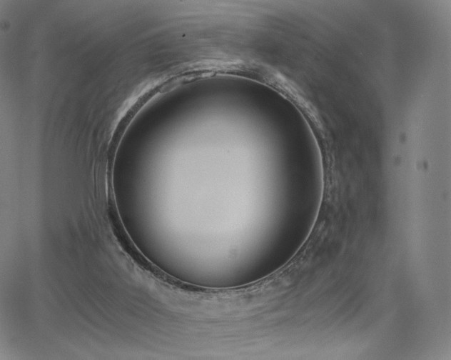 X0000063520011200601201445