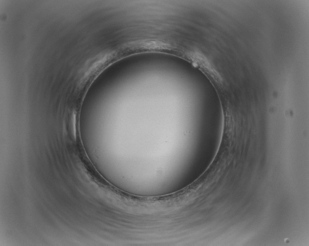 X0000063520014200601201444