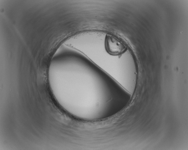 X0000063520017200601201444