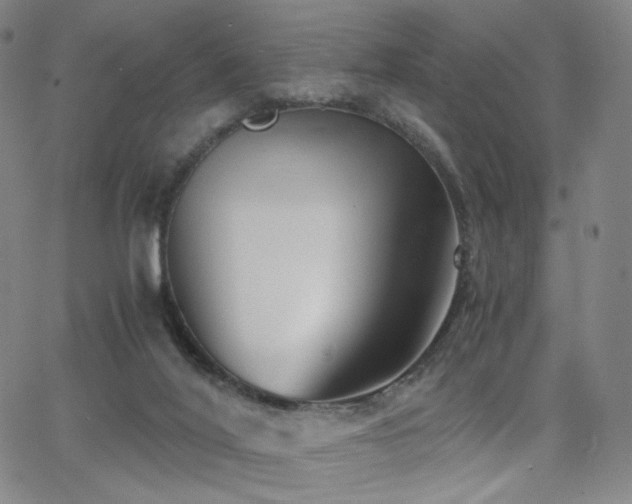 X0000063520020200601201444