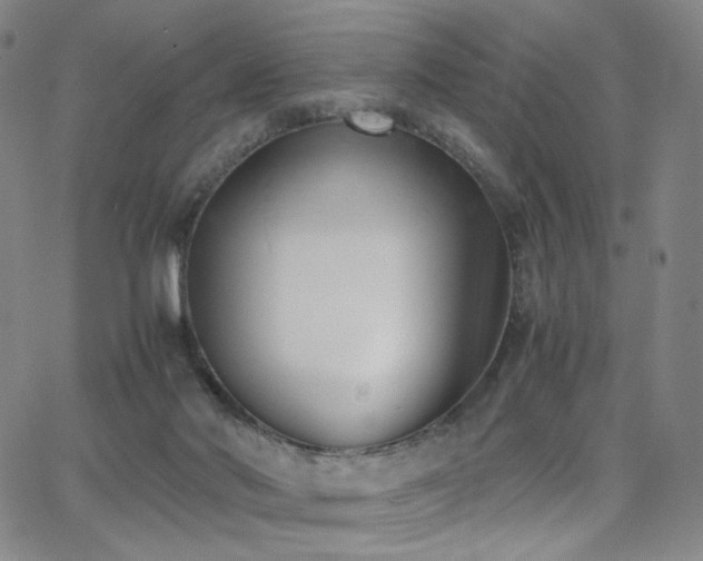 X0000063520022200601201444