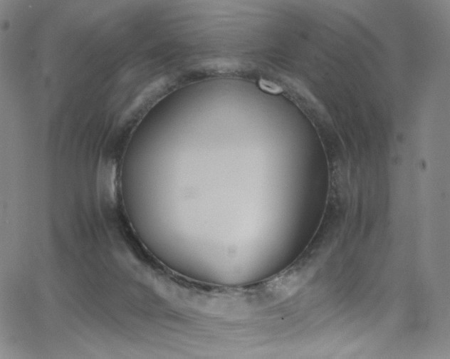 X0000063520024200601201444