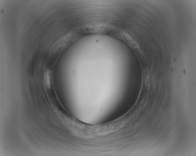 X0000063520026200601201444