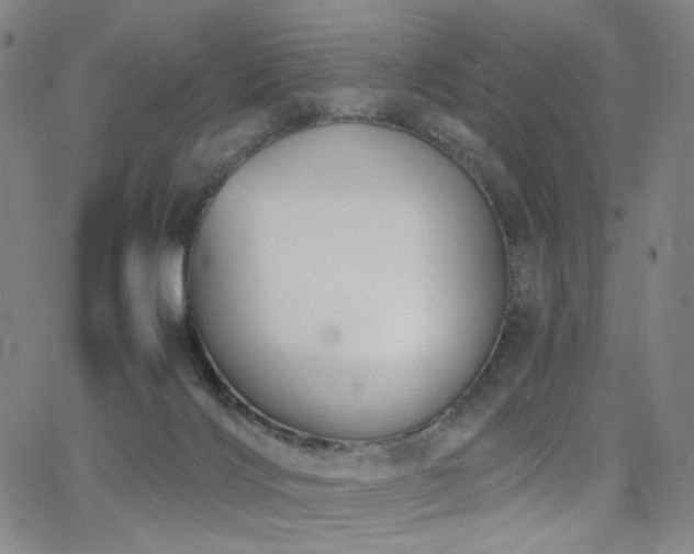 X0000063520028200601201444