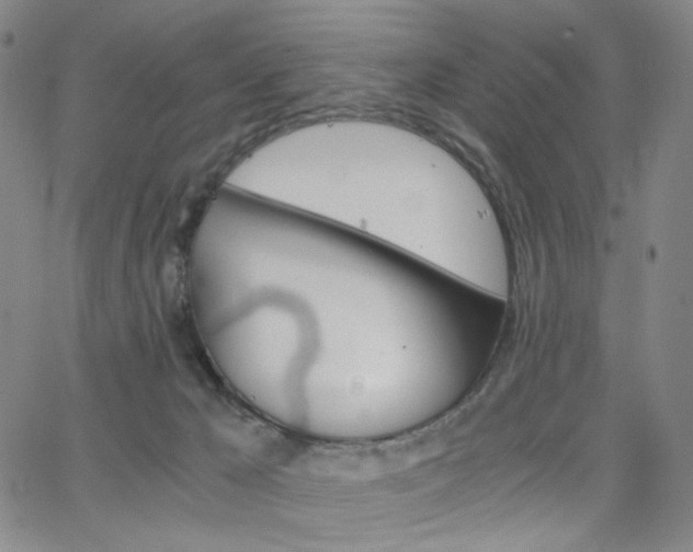 X0000063520029200601201444