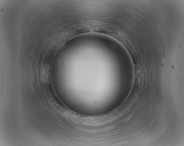 X0000063520030200601201444