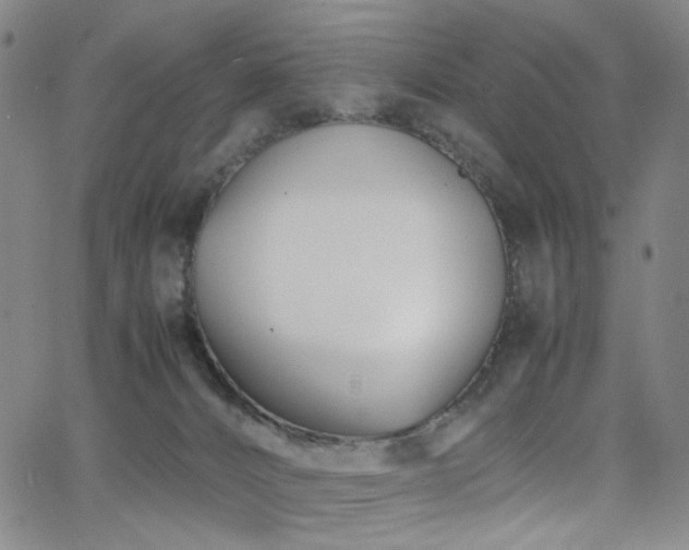 X0000063520032200601201444