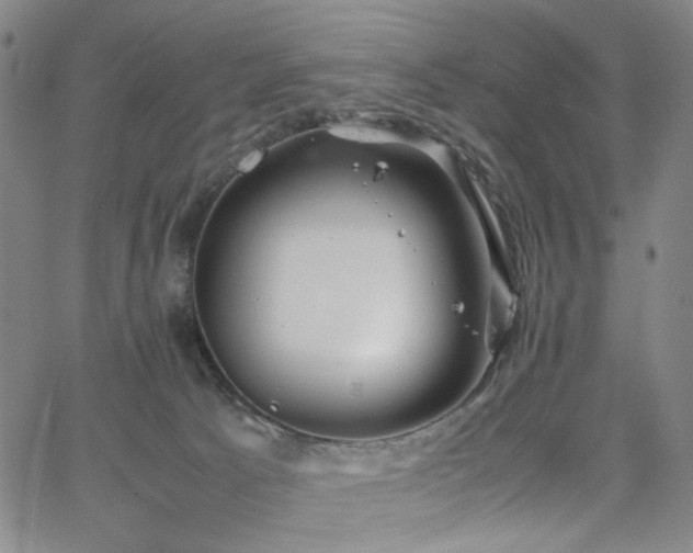 X0000063520033200601201444