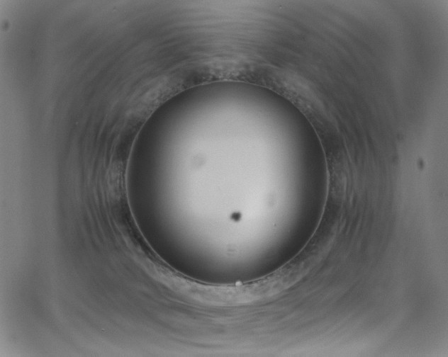 X0000063520034200601201444