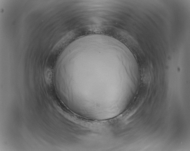 X0000063520036200601201444