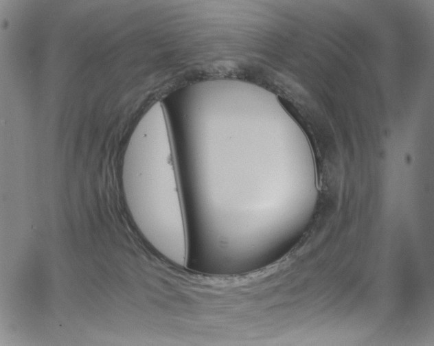 X0000063520037200601201444