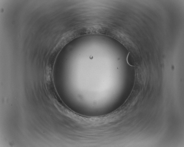 X0000063520038200601201444