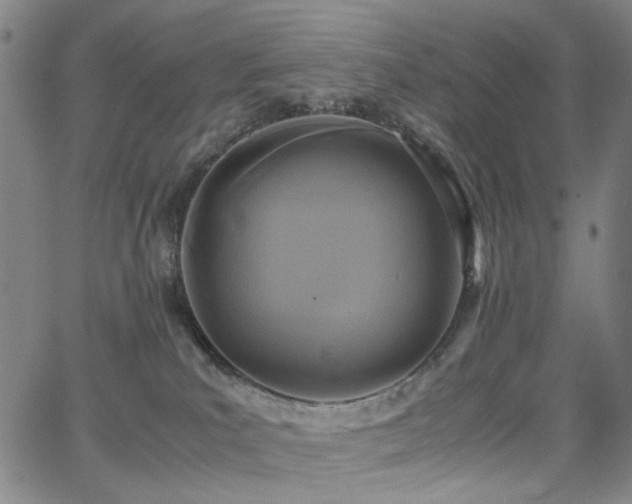 X0000063520039200601201444