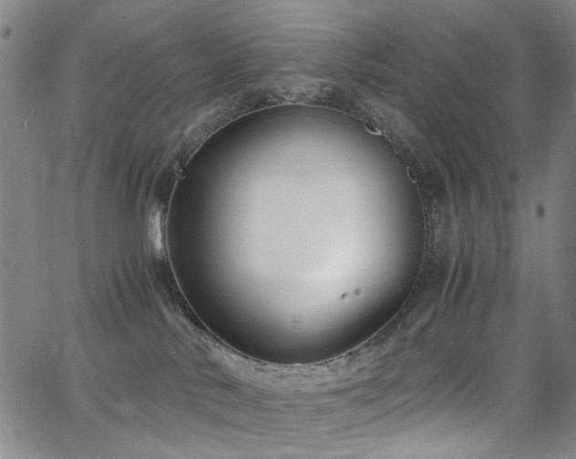 X0000063520042200601201444