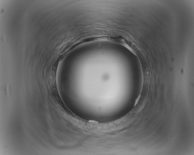 X0000063520043200601201444