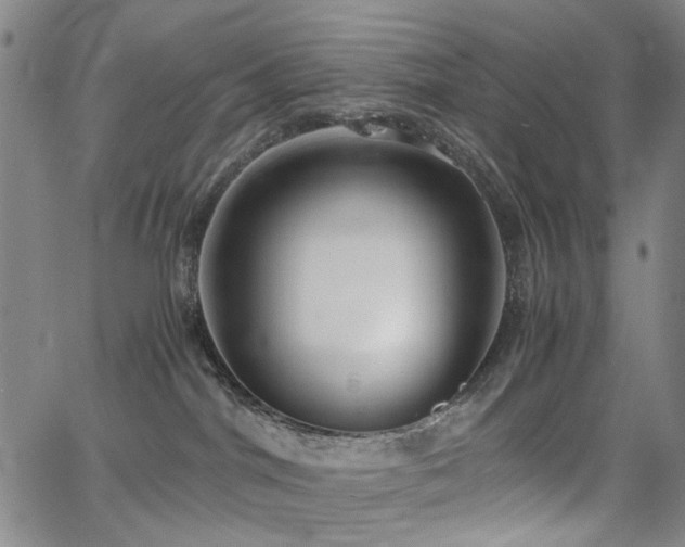 X0000063520044200601201444