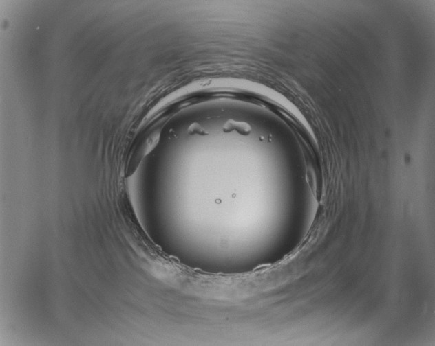 X0000063520045200601201444