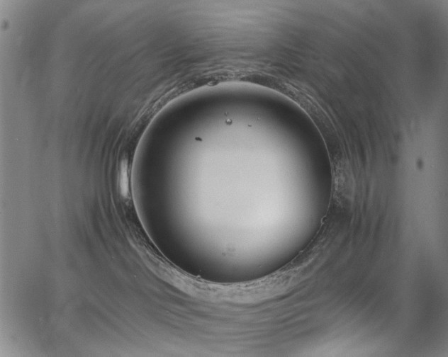 X0000063520046200601201444