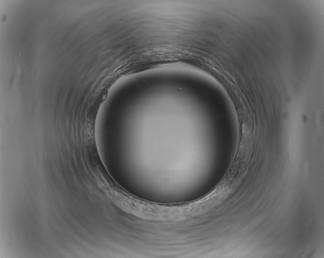 X0000063520048200601201444