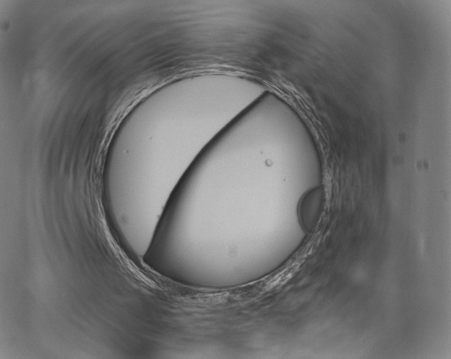 X0000063520049200601201443