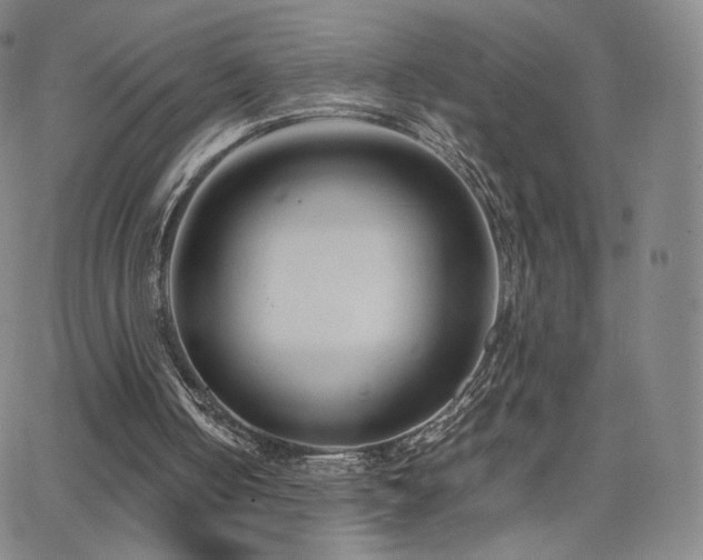 X0000063520050200601201443