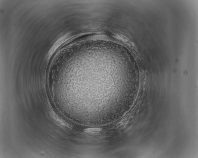 X0000063520051200601201443