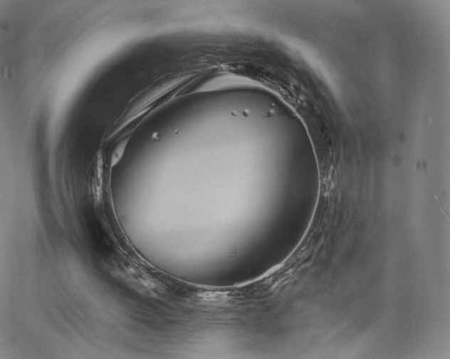 X0000063520052200601201443