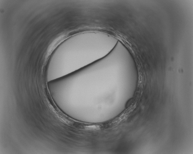 X0000063520053200601201443