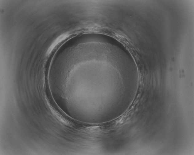 X0000063520054200601201443