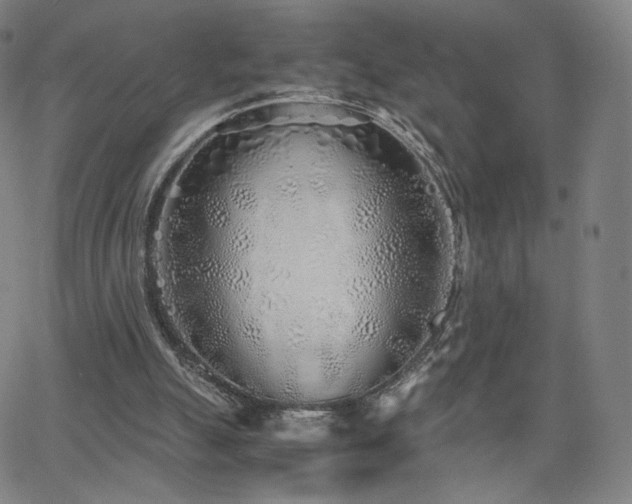 X0000063520055200601201443