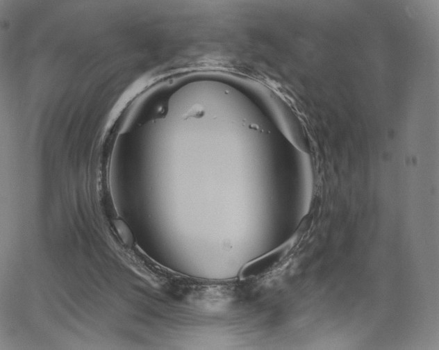 X0000063520056200601201443