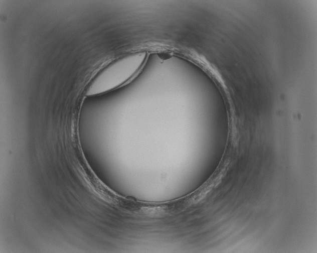 X0000063520057200601201443