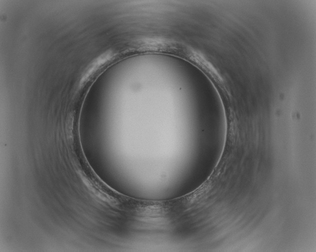 X0000063520058200601201443