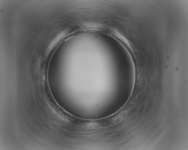 X0000063520059200601201443