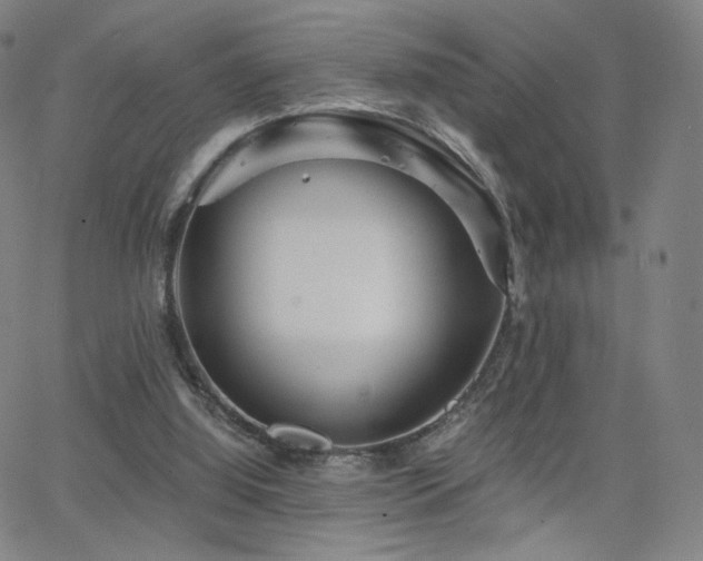 X0000063520060200601201443