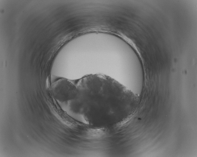 X0000063520061200601201443