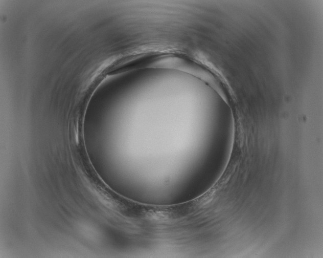 X0000063520062200601201443