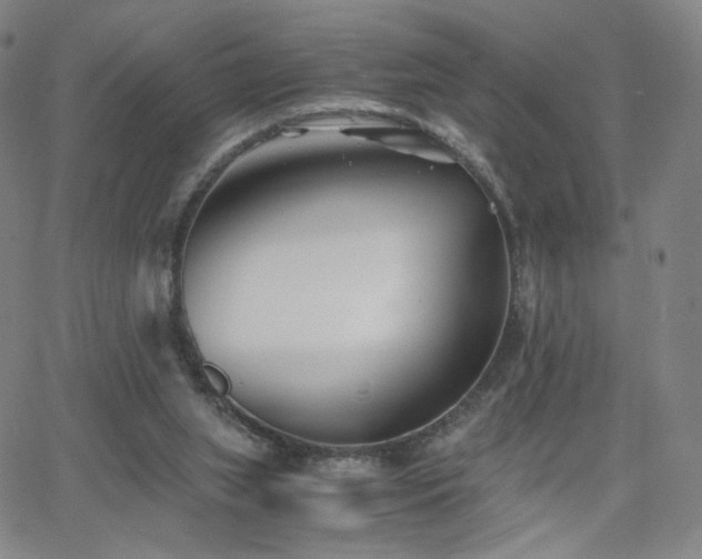 X0000063520063200601201443