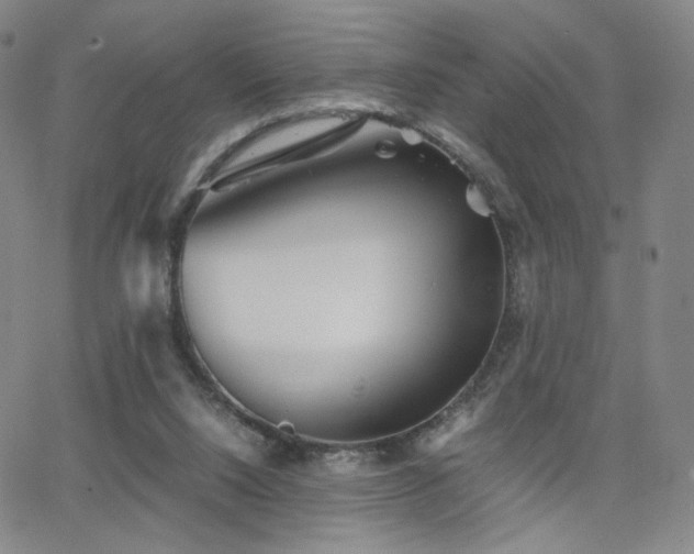 X0000063520064200601201443