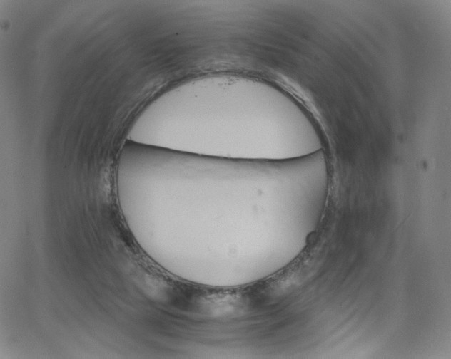 X0000063520065200601201443