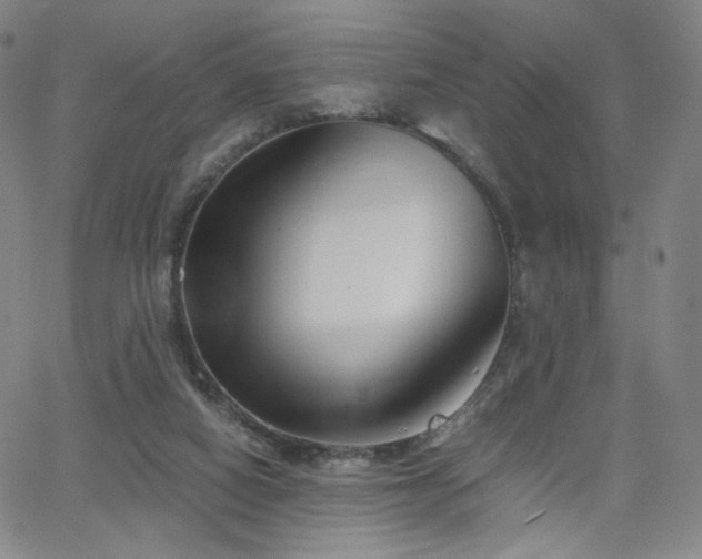 X0000063520066200601201443