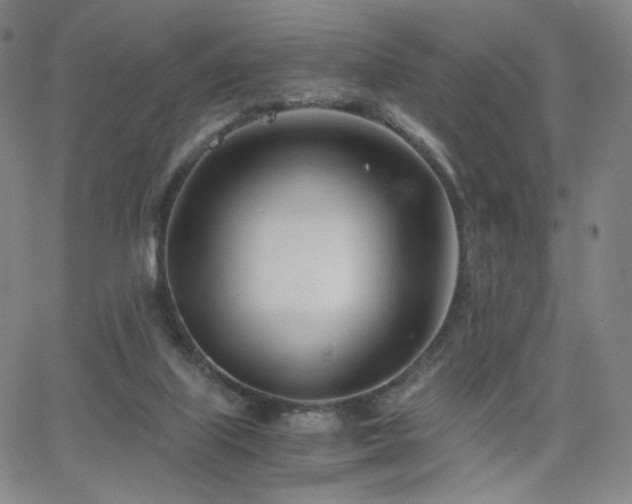 X0000063520067200601201443