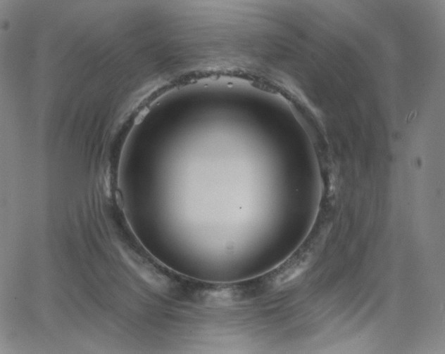 X0000063520068200601201443