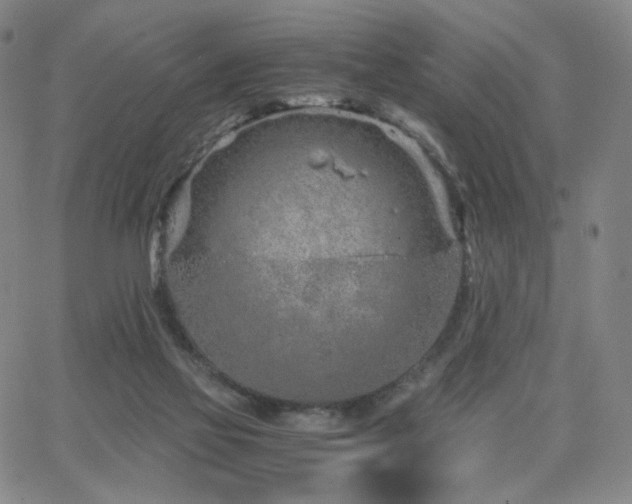 X0000063520069200601201443