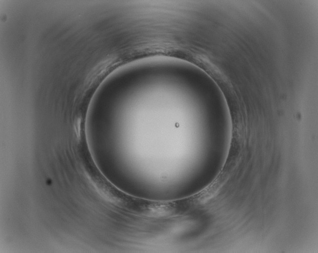 X0000063520070200601201443