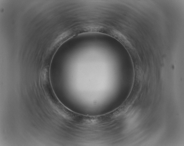 X0000063520071200601201443