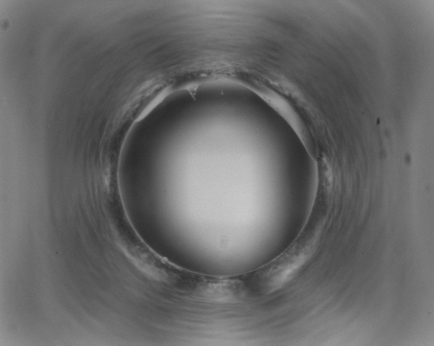 X0000063520072200601201443