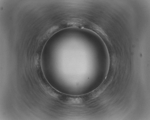 X0000063520073200601201443